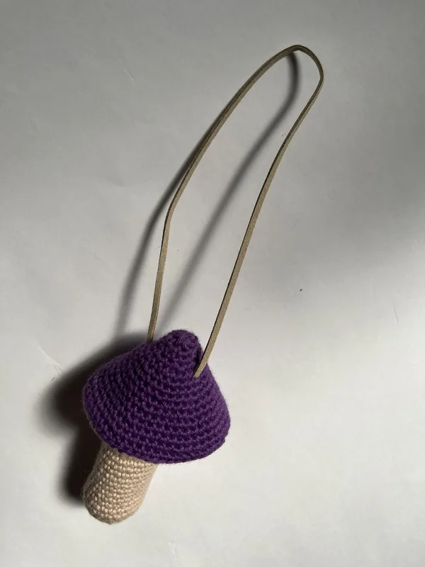 Purple Mushroom Pouch