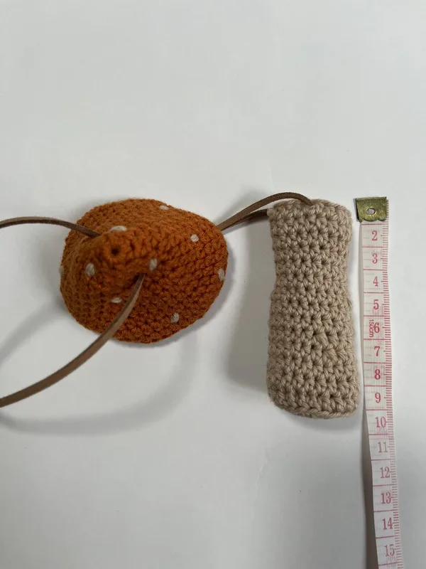 Orange Mushroom Pouch (A)